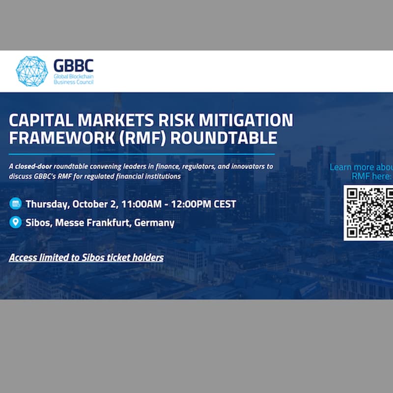 Cover Image for Capital Markets Risk Mitigation Framework (RMF) Roundtable