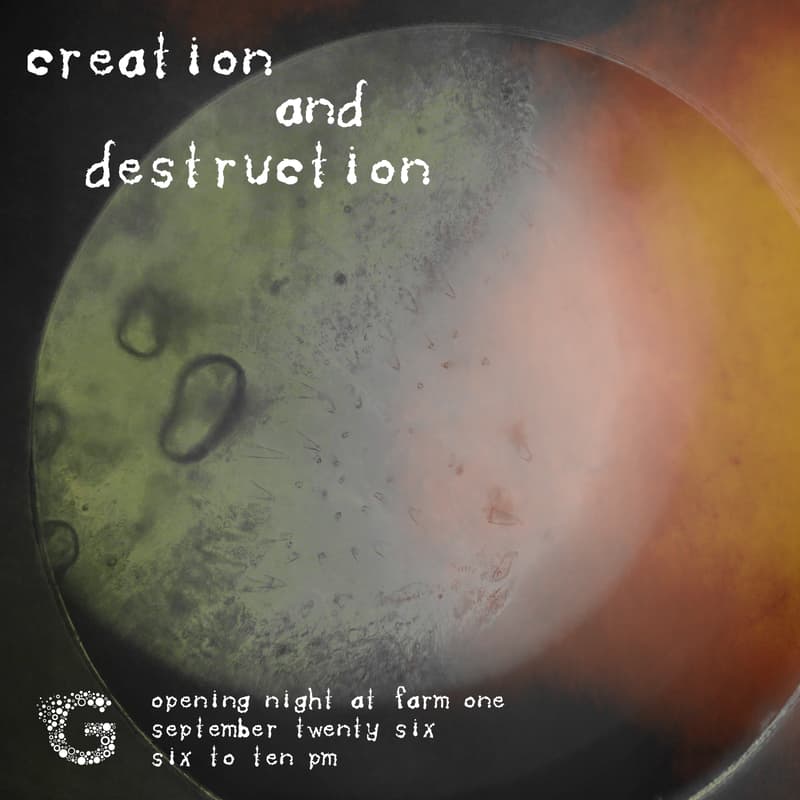 Cover Image for Creation and Destruction - Panel & Workshop