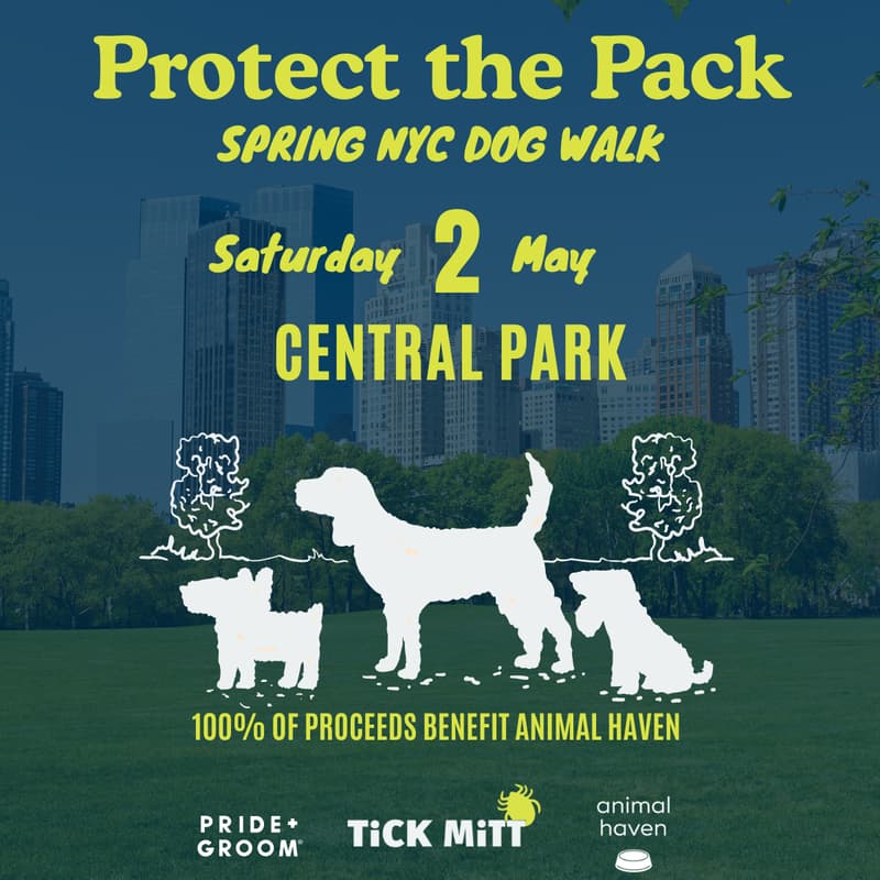 Cover Image for Protect the Pack NYC Dog Walk with PRIDE+GROOM and Animal Haven