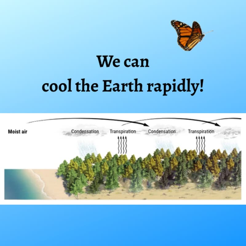 Cover Image for How biological approaches can begin to cool the Earth within 20 years