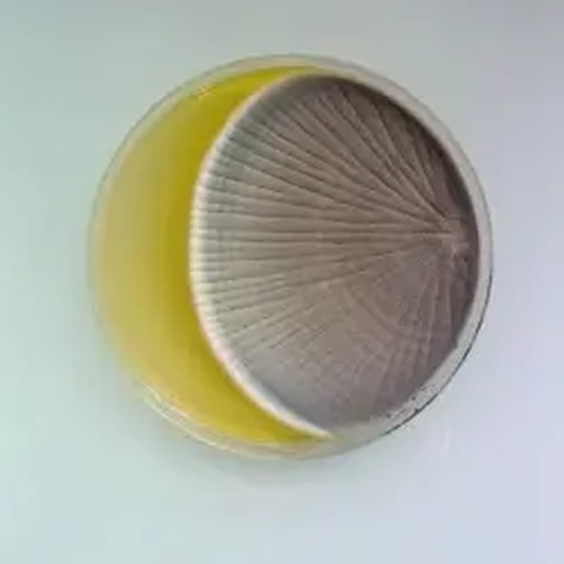 Cover Image for SF Biohackers Meetup