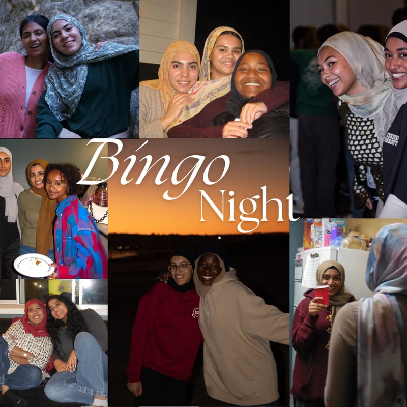 Cover Image for Sip, Watch, and Bingo Night (Sisters Only)