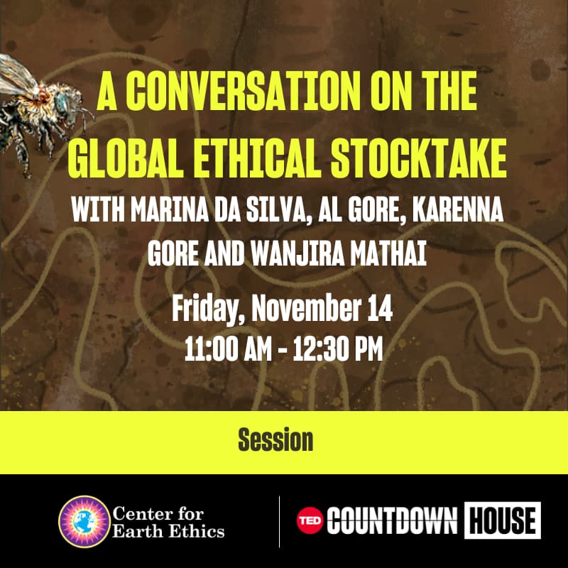 Cover Image for A conversation on the Global Ethical Stocktake with Al Gore, Karenna Gore and Wanjira Mathai