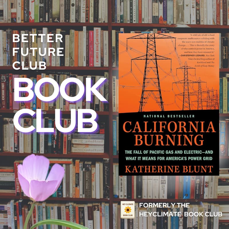 Cover Image for 📙 Better Future Club Book Club March Meetup: California Burning