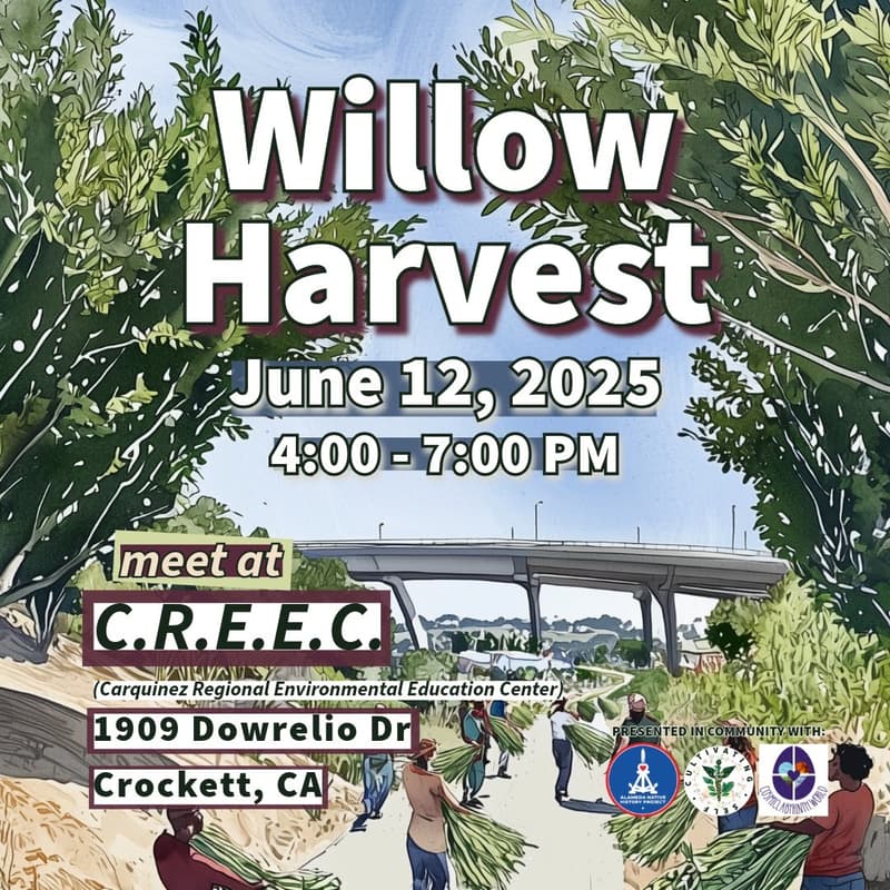 Cover Image for Willow Harvest