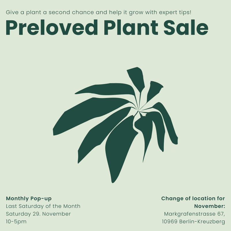 Cover Image for Preloved Plant Sale