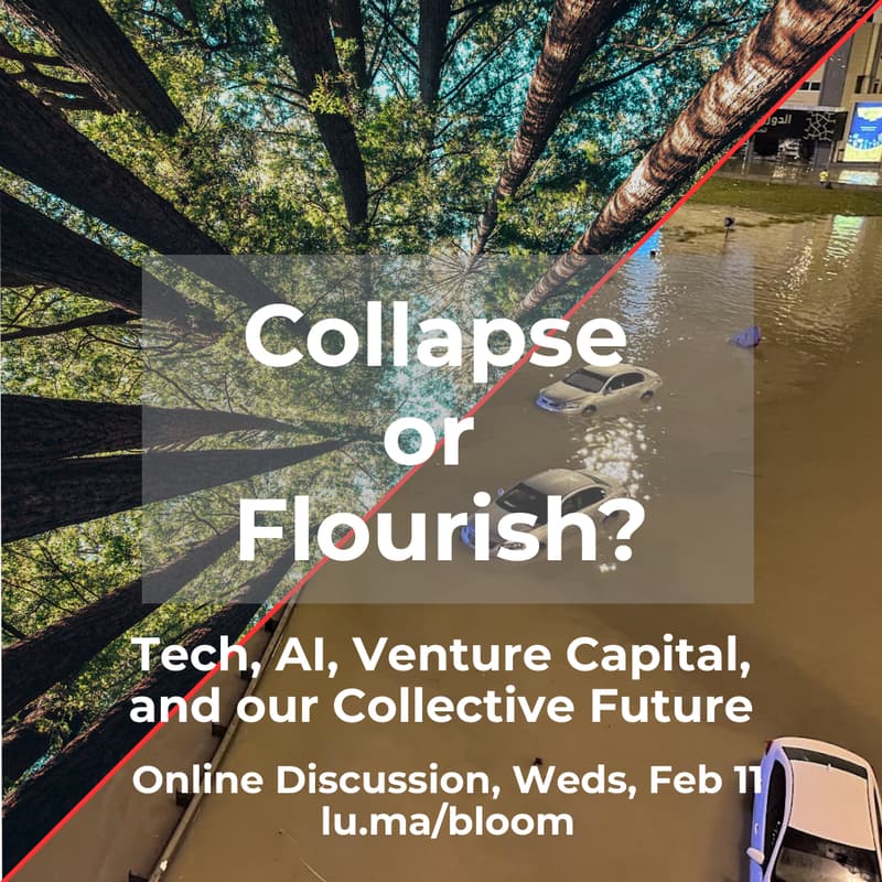 Cover Image for Collapse or Flourish? Tech, AI, Venture Capital, and our Collective Future.