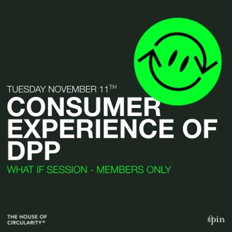 Cover Image for The Consumer Experience of DPP - What If