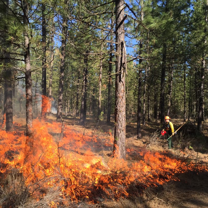 Cover Image for Mt. Adams PBA March Quarterly Meeting
