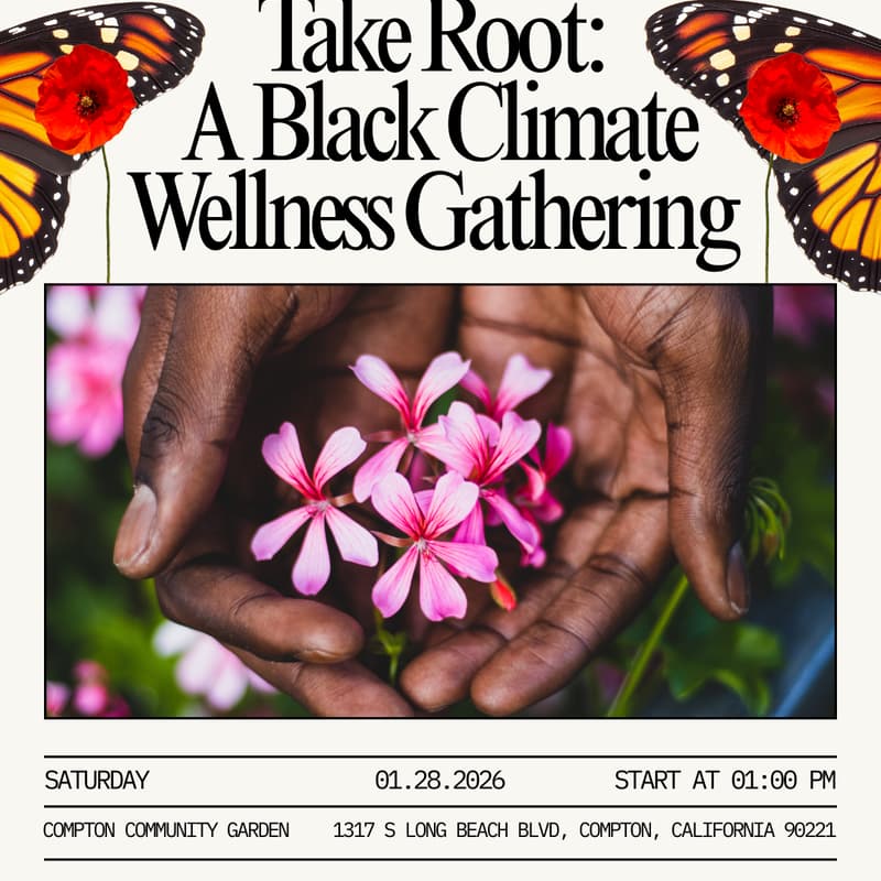 Cover Image for Where Black Futures Take Root: A Black Climate Wellness Gathering