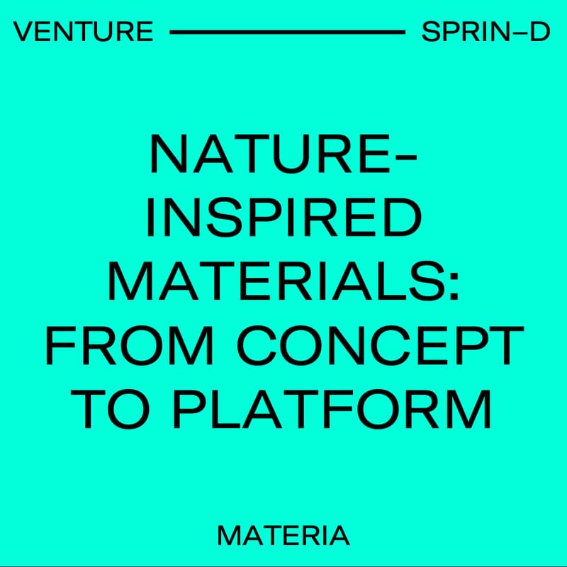 Cover Image for Nature-inspired materials: From concept to platform
