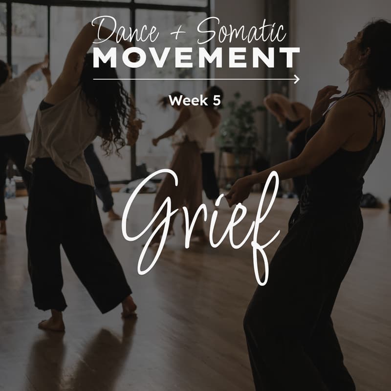 Cover Image for Dance + Somatic Movement (Week 5)