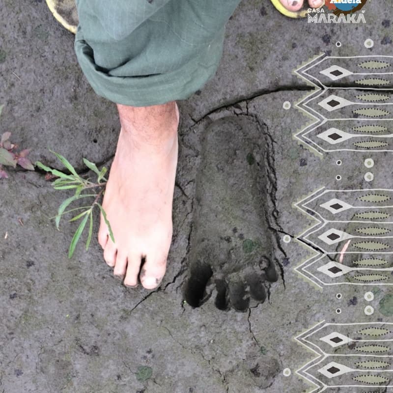 Cover Image for Our Territories, Our Health, Our Well-Being