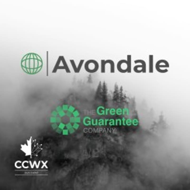 Cover Image for Bridging the Gap: Mobilising Institutional Capital with Green Guarantees