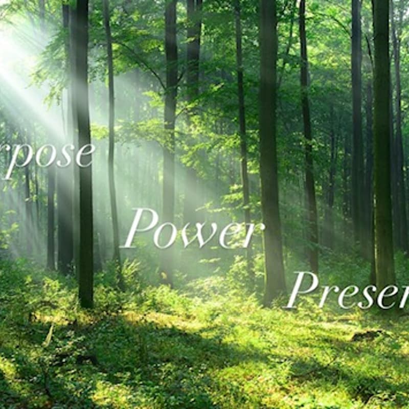 Cover Image for Lead from Within: Discover the 3 Pillars of Purpose, Power & Presence