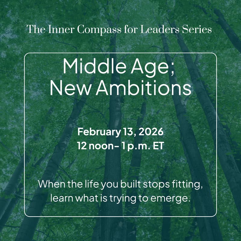 Cover Image for Middle Age; New Ambitions