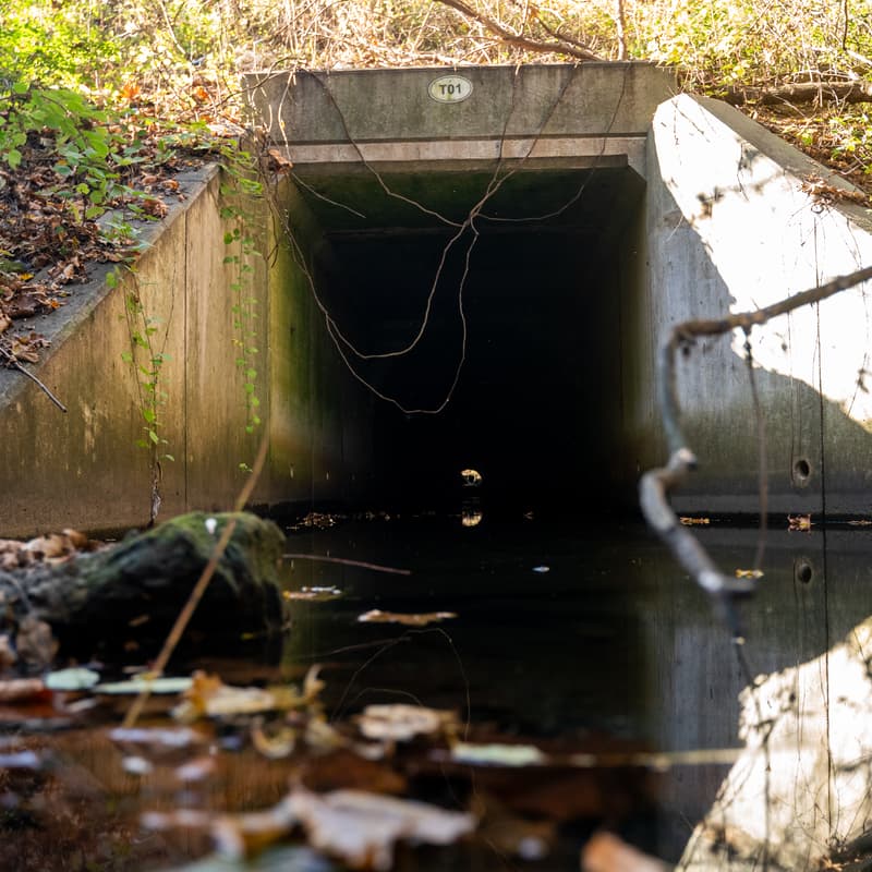 Cover Image for RFP Webinar: Reducing Sewage Overflows in Greater Philadelphia