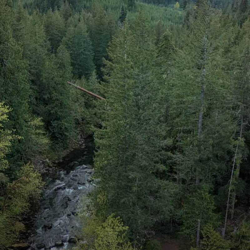 Cover Image for Cowichan Valley — Shawnigan Lake to Koksilah River | 20 - 40’s