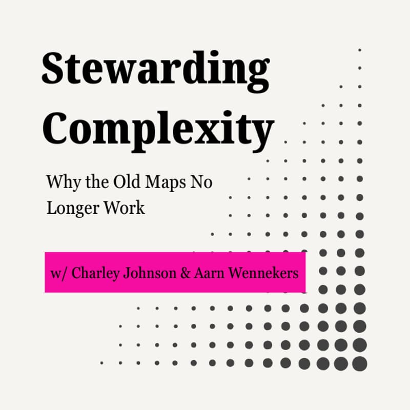 Cover Image for Stewarding Complexity: Why the Old Maps No Longer Work