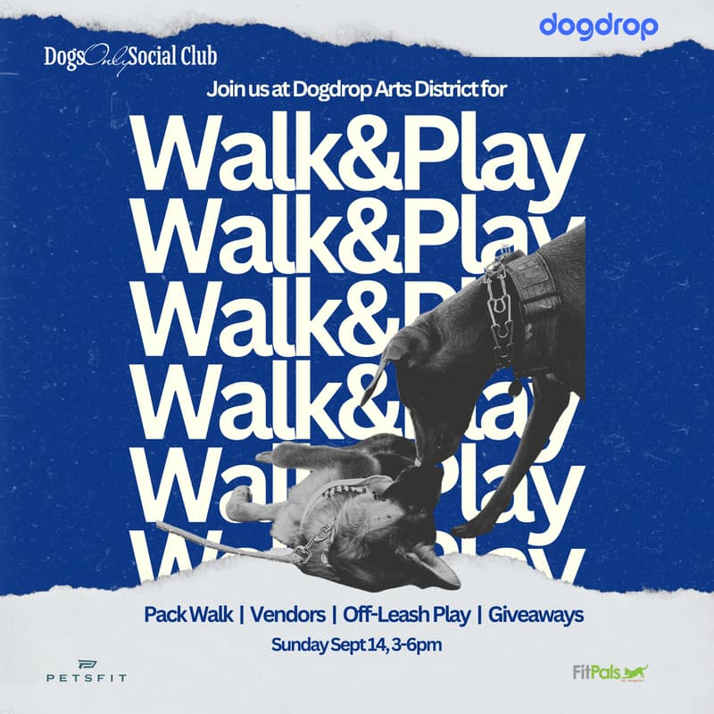 Cover Image for Walk & Play Social