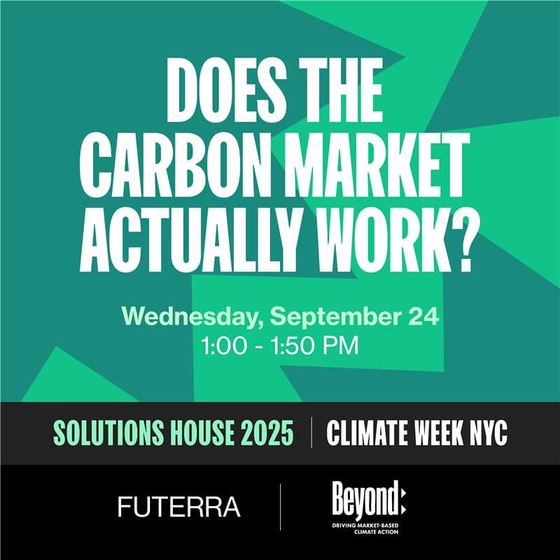Cover Image for Does the Carbon Market Actually Work?