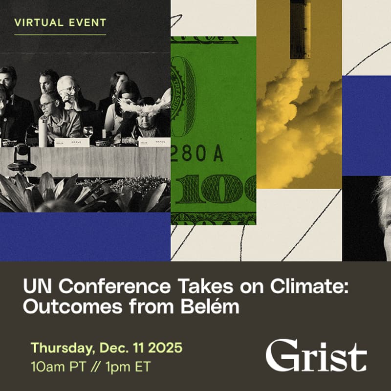 Cover Image for UN Conference Takes on Climate: Outcomes from Belém