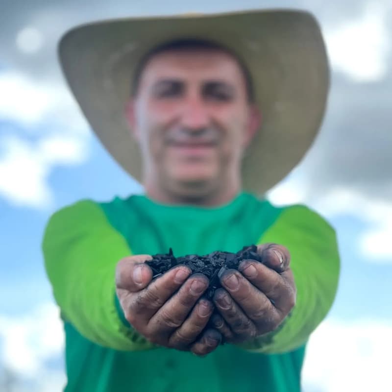 Cover Image for AMA: Wild Assets Biochar Carbon Credit Drop with Aperam BioEnergia