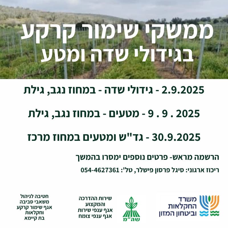 Cover Image for ממשקי שימור קרקע בגידולי שדה ומטעים