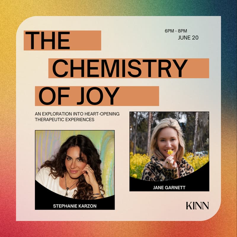 Cover Image for The Chemistry of Joy