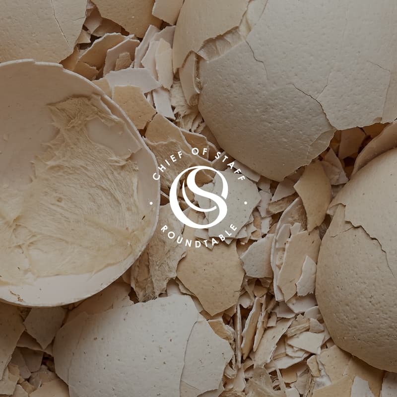 Cover Image for Walking on Egg Shells: Coaching Executives, Delivering Hard Truths, & Developing Leaders Who Rarely Ask for Help
