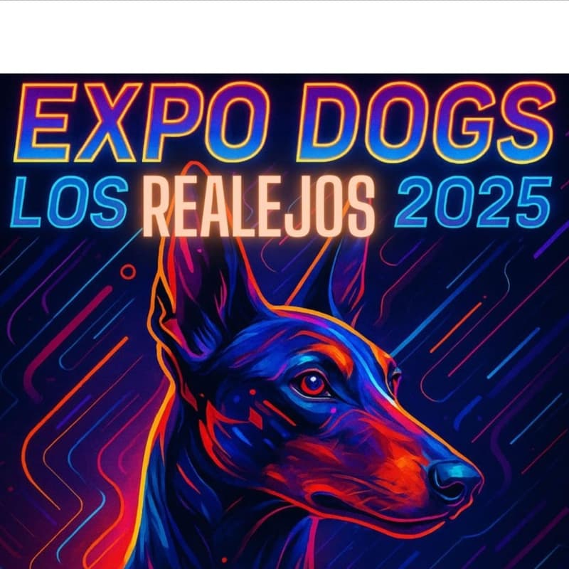 Foto de portada de EXPO DOGS 2025 | Tenerife | Los Realejos