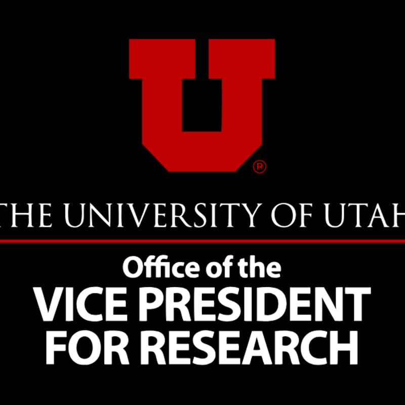 Cover Image for Informational Town Hall: VPR Interdisciplinary Research Initiative