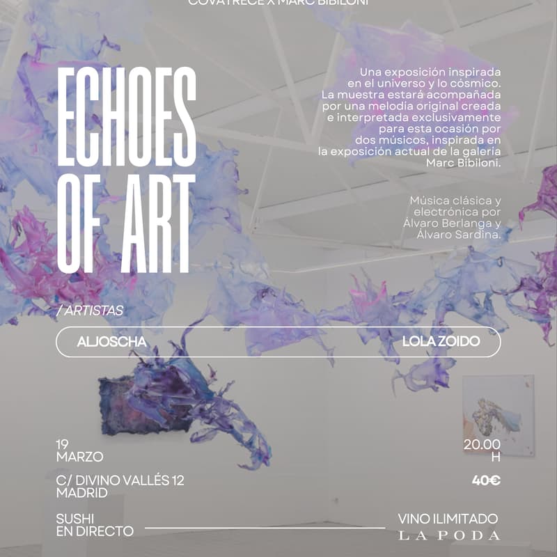 Cover Image for Echoes of Art
