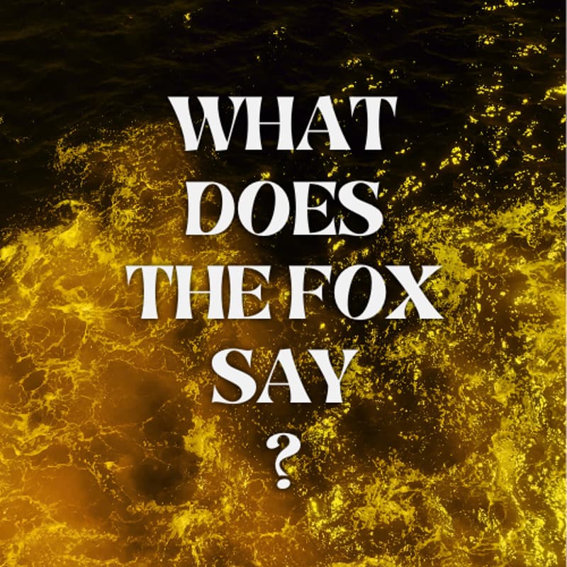 Cover Image for 4. Seek the Sound🎶