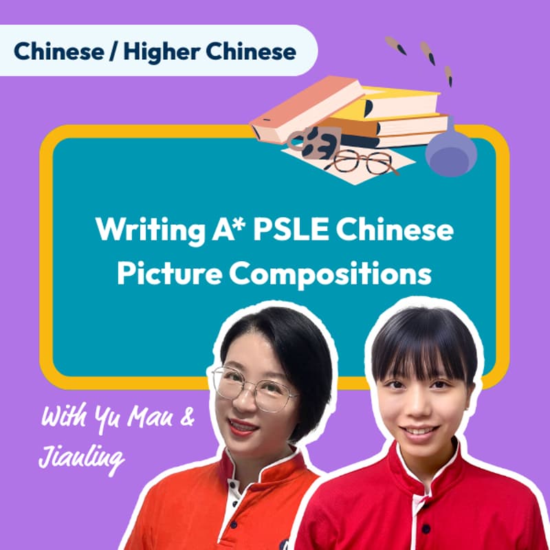 Cover Image for Mind Stretcher Writing A* PSLE Chinese Picture Compositions Super Session with Head of Chinese Yu Man