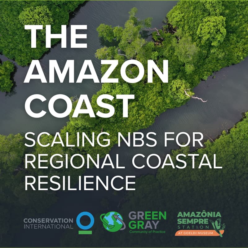 Cover Image for The Amazon Coast: Scaling Nature-Based Solutions for Regional Coastal Resilience