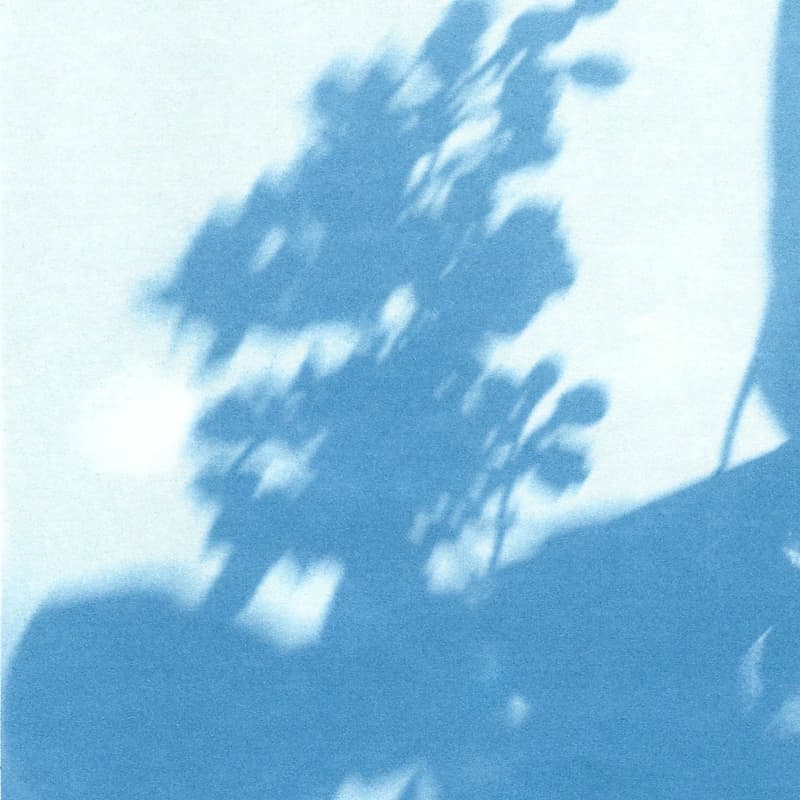 Cover Image for Impressions: Cyanotype Creative Process