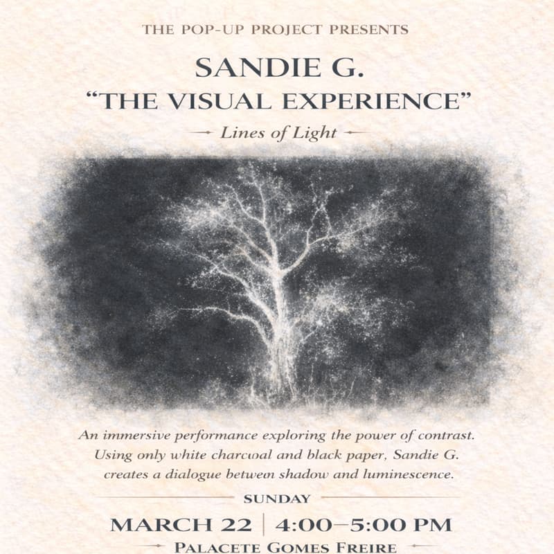 Cover Image for Sandie G. — “The Visual Experience: Lines of Light”