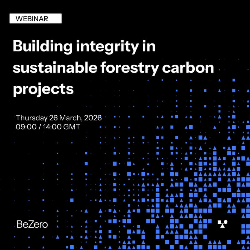 Cover Image for Building integrity in sustainable forestry carbon projects