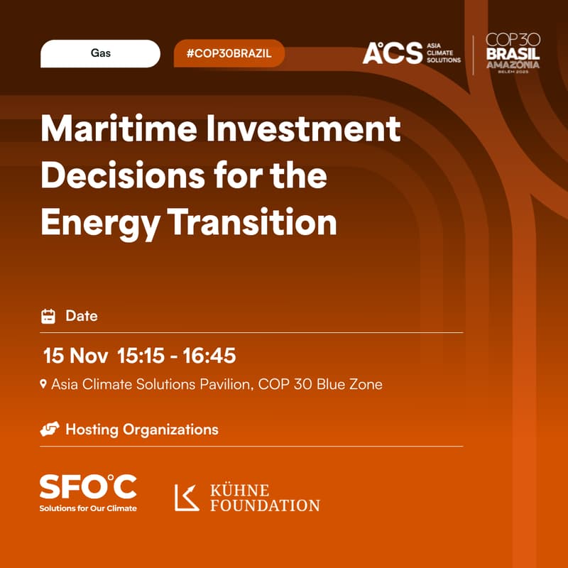 Cover Image for Maritime Investment Decisions for the Energy Transition