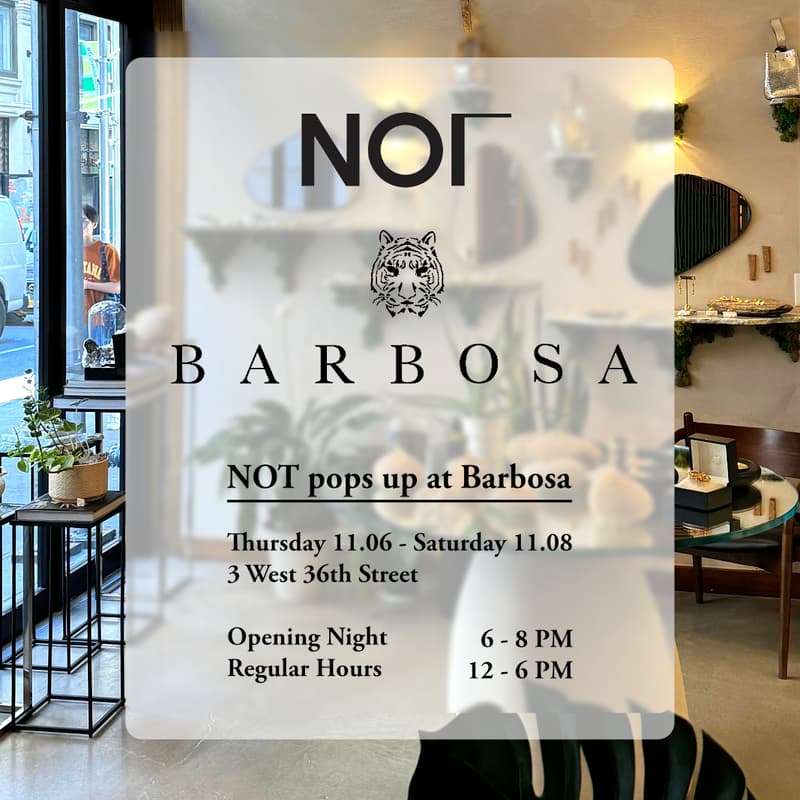 Cover Image for NOT Pop Up at Barbosa