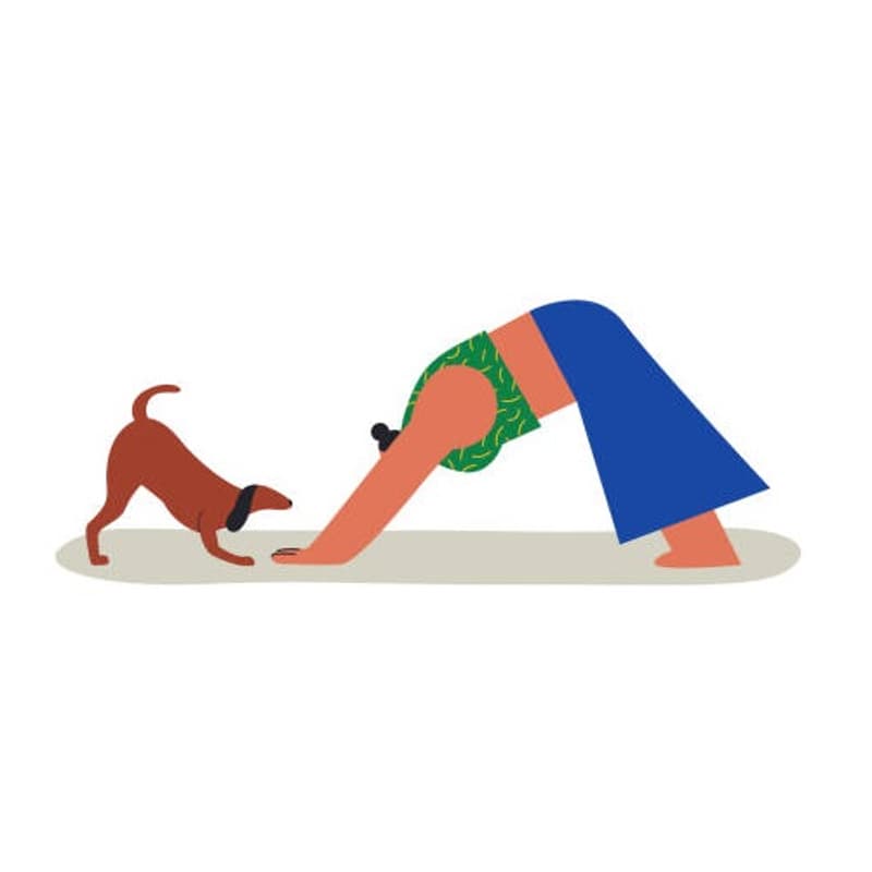 Cover Image for Puppies & Yoga