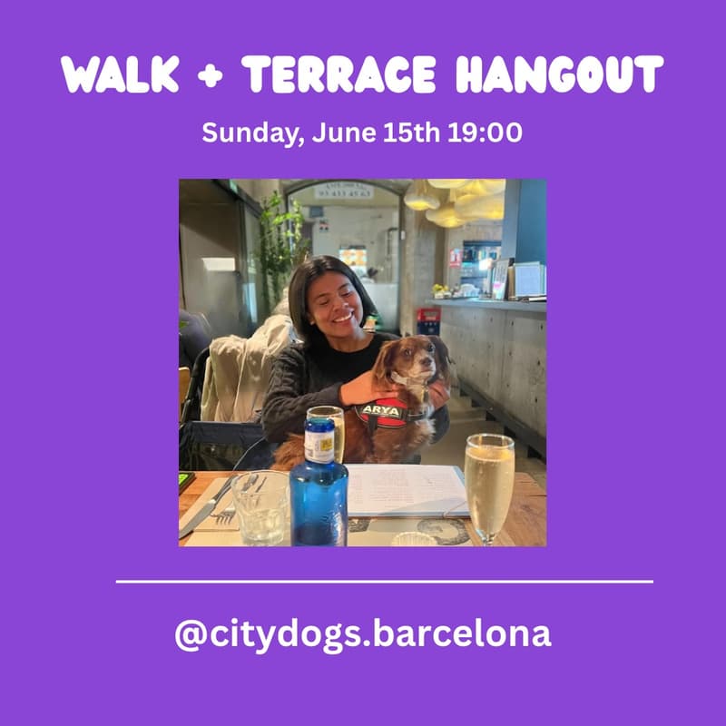 Cover Image for City Dogs | Evening Walk + Terrace Hangout @ Gats | 1.9km