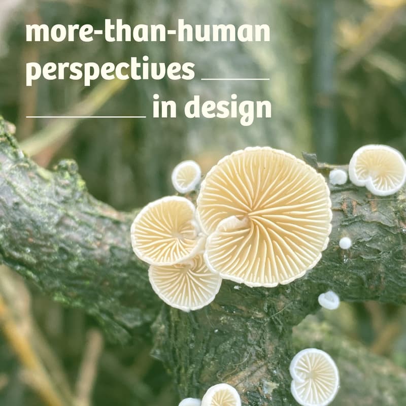 Cover Image for More-than-human Perspectives in Design