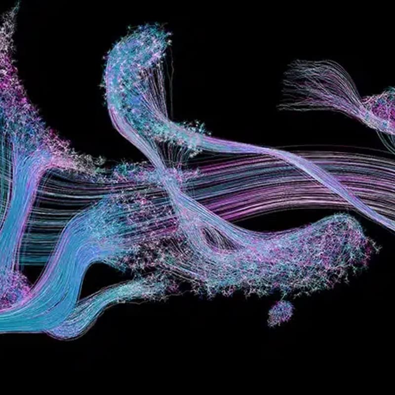 Cover Image for Built In Baltimore: Neuro Innovation