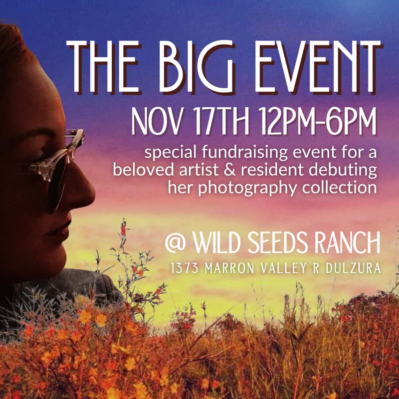 Cover Image for The BIG Event