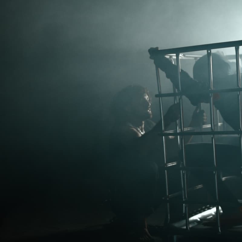 Cover Image for ORGAC SONOMES