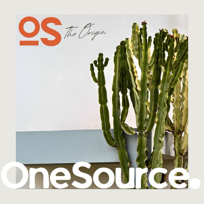 Cover Image for One Source: The Origin Story