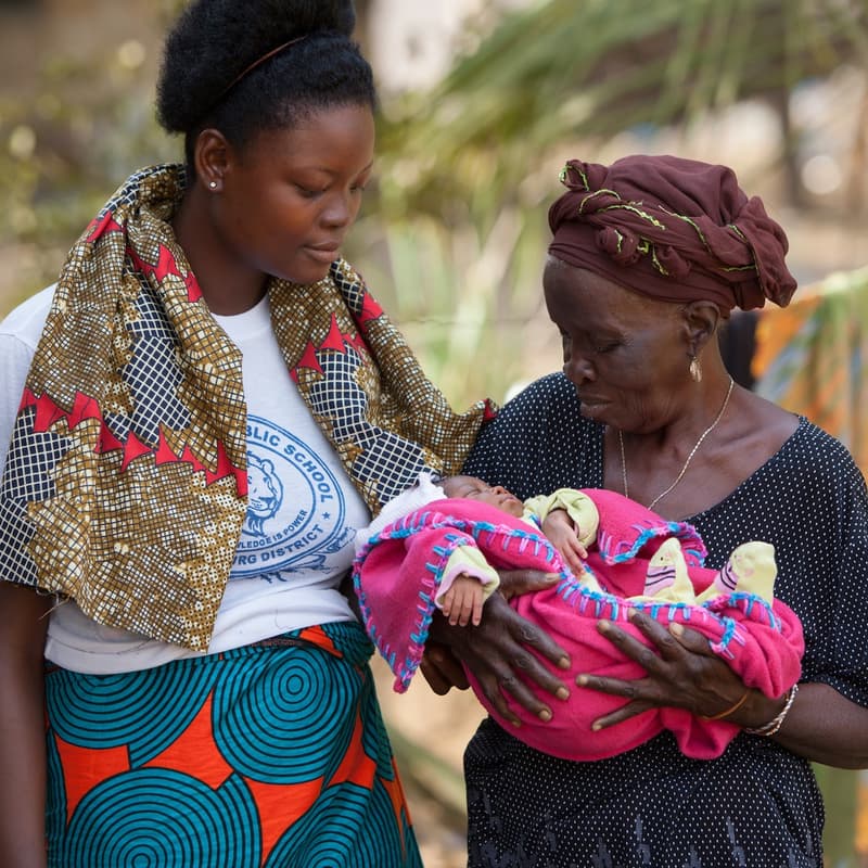 Cover Image for Durable Organizations, Lasting Systems Change