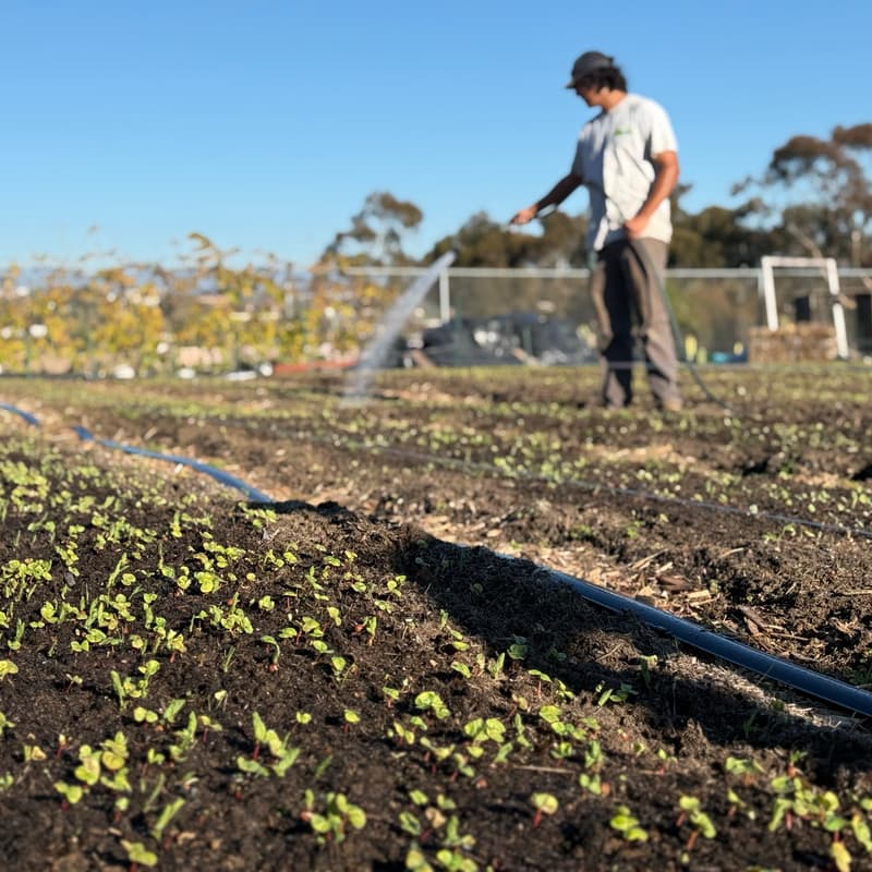 Cover Image for Community Farming Day